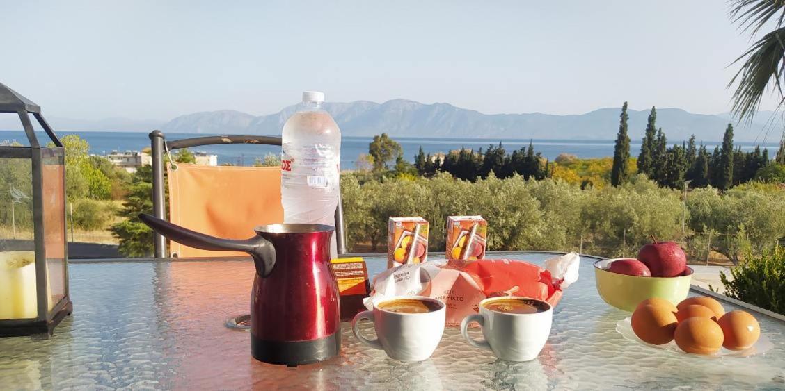Vila View Διαμερισμα Loukissia Exteriér fotografie